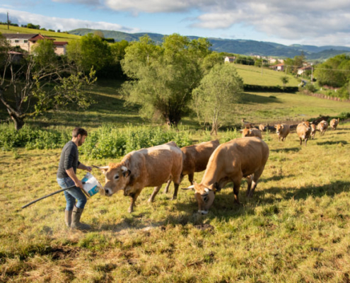 FermeChassignol-5_IMG_4748_PRINT-705x470