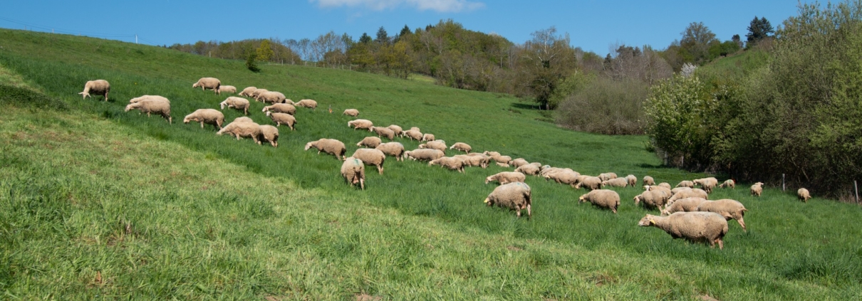 Ferme La Binocle